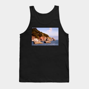 Arched Cliff Tank Top